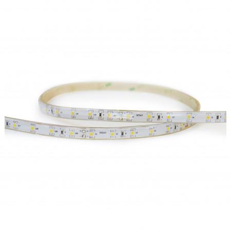 Bande led led strip out ip65 led smd 4.80w/m transparent - 5750_0