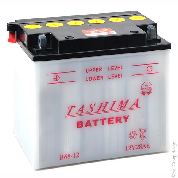 BATTERIE MOTOCULTURE Y60-N24-A / B68-12 12V 28AH_0