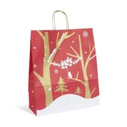 Sac Fenris Junior kraft blanc poignées torsadées 35+14x41cm par 250 - 3700481692608_0