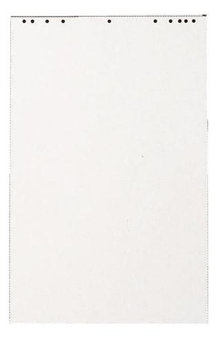 BLOC PAPERBOARD 48 FEUILLES DE PAPIER BLANC EXACOMPTA 63 X 98 CM