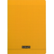 CAHIER PIQUÉ 8000 POLYPRO 24X32 CM 96 PAGES PETITS CARREAUX 90 G - INCOLORE - LOT DE 10