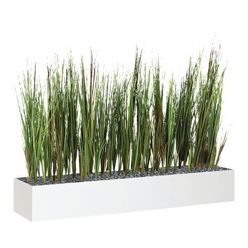 JARDINIÈRE BASSE JB12 BLANC 80 CM GRAMINÉES