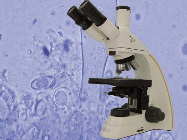 Microscope biostar b6-ics  led_0