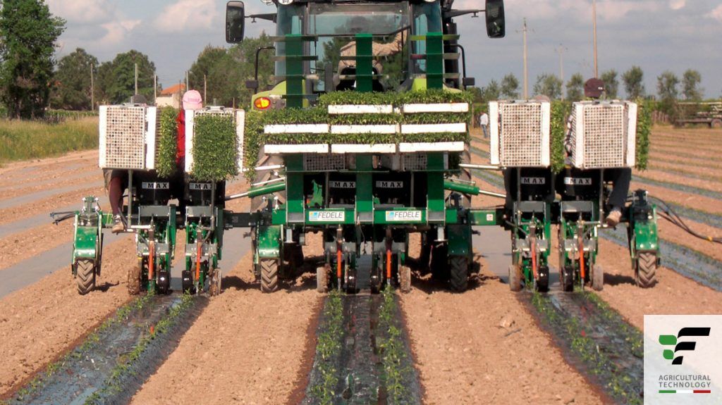 Max - Planteuse Fedelemario - Distance inter-plants 15 à 162 cm - Repique sur sol paillé ou nu_0