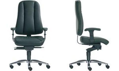 Chaise pivotante pour bureau Dynamik 2 - mécanisme synchrone - jusqu'à 125 kg - appui optimal lombaire_0