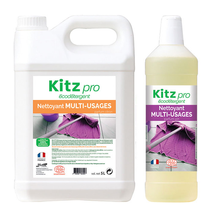 Nettoyant sols et multi-usages kitz pro_0