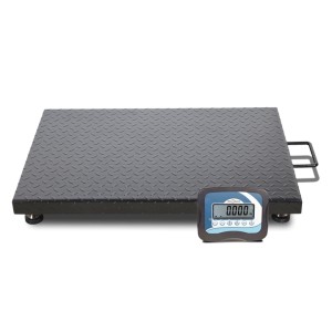 Plate-forme Baxtran ZFD - 600Kg, indicateur BR15, acier IP66_0