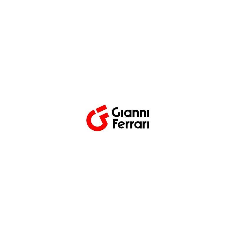 Clapet antiretour - 0041000293 - GIANNI FERRARI_0