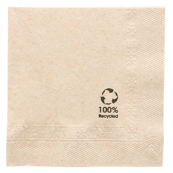 ECOLOGIQUE : Serviettes ouate recyclée 2 plis - SVT2NT-GP03/RC_0