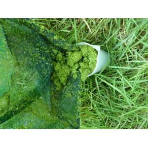 Système de Pompage Skimcrush Pro 15 pour Lentilles d'Eau, Azolla et Flottants - Pompe 15m³/h, Châssis Inox, Tuyau 10m_0