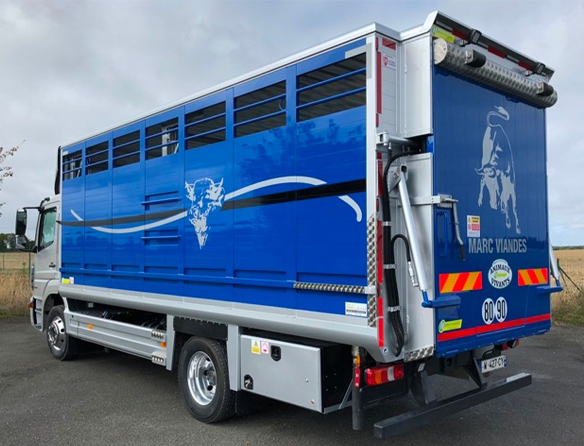 Bétaillère pour poids lourds - BÉTHALU Cargo 6m00 sur porteur PTC 12t00 pour transport d'animaux et bovins_0