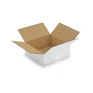 CAISSE CARTON BLANCHE SIMPLE CANNELURE RAJA 25X25X10 CM