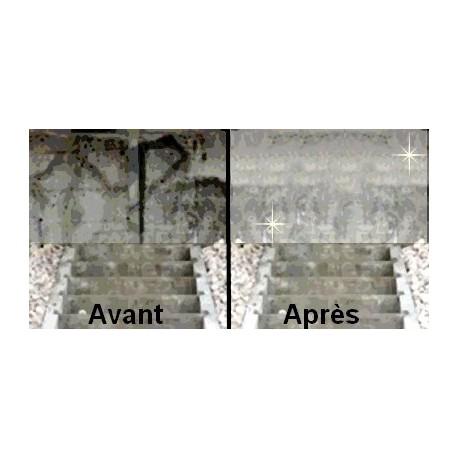 Anti-spectre curatif - Nettoyant anti-graffitis sans silicone - Effet en 4 heures_0