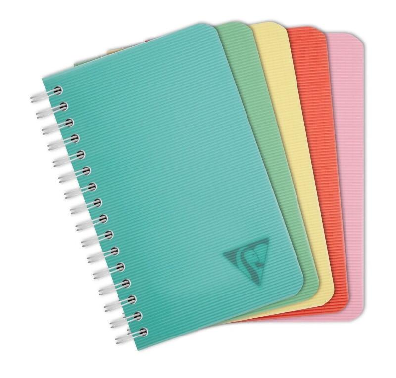 Clairefontaine Lot de 10 Carnet Linicolor Essence 9x14, 100p./50 feuilles 90 g/m² reliure intégrale, couv. Polypro assortis, quadrillé 5x5 - 332968_0