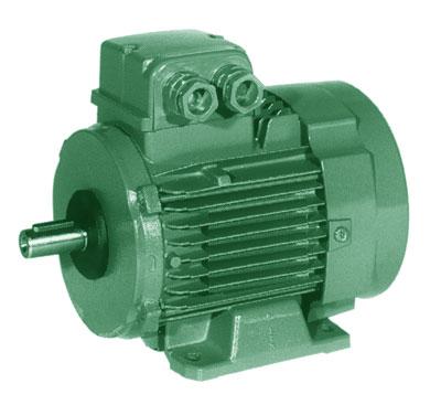 Moteurs asynchrones triphasés et monophasés - Fixation B3 - IP55 - Classe F - Norme ATEX disponible_0