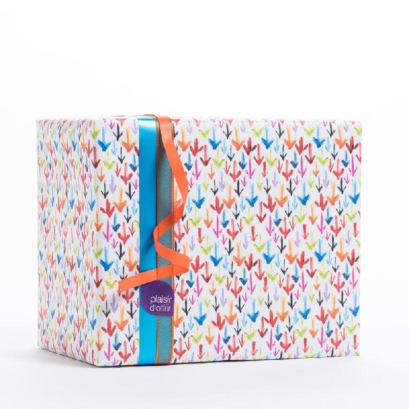 Papier cadeau flèches multicolores en 0.70x50 m_0
