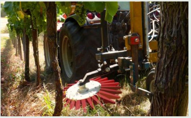 Bineuses à doigts viticulture et arboriculture - k.U.L.T.-kress - vitesse de travail 4 - 15 km/h_0