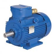4KTC - Moteur ATEX multi-vitesses - Sermes - Fonte et acier - Certifications II CT4 et IEC Ex_0