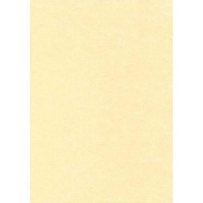BOÎTE DE 50 FEUILLES DECADRY -  A4 - 165G - PARCHEMIN CHAMPAGNE