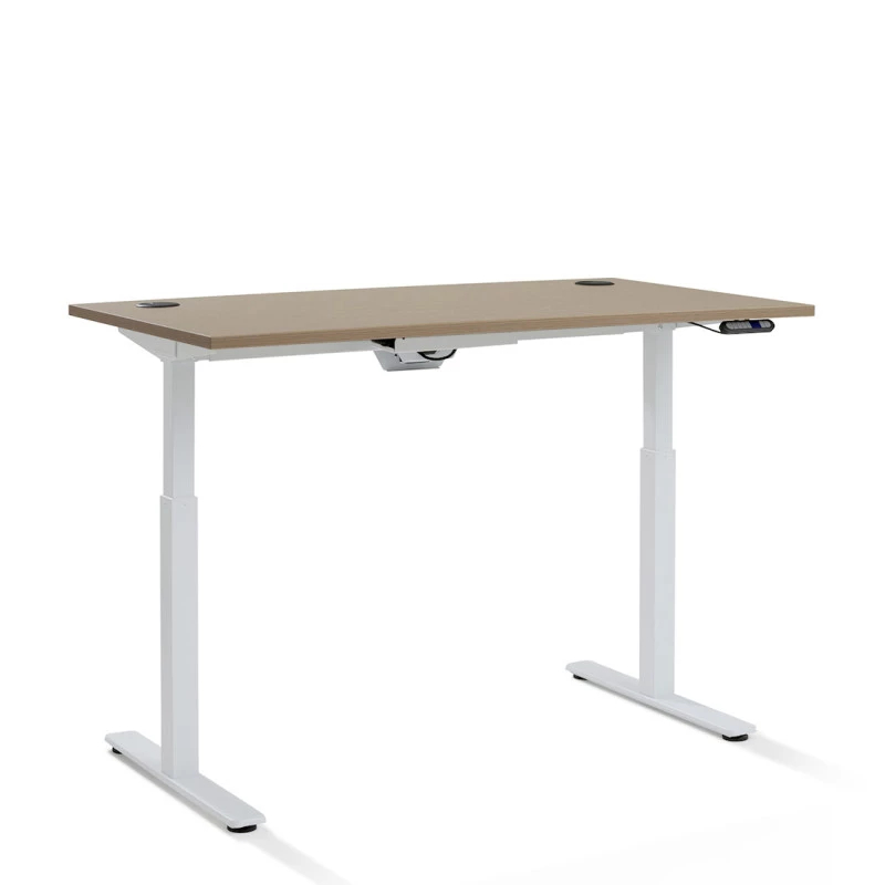 Bureau professionnel assis debout électrique - réglable en hauteur avec double moteur et piétement en T_0