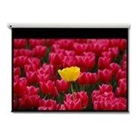 Optoma Pantalla 16:9 2656 x 1494mm écran de projection 3,05 m (120
