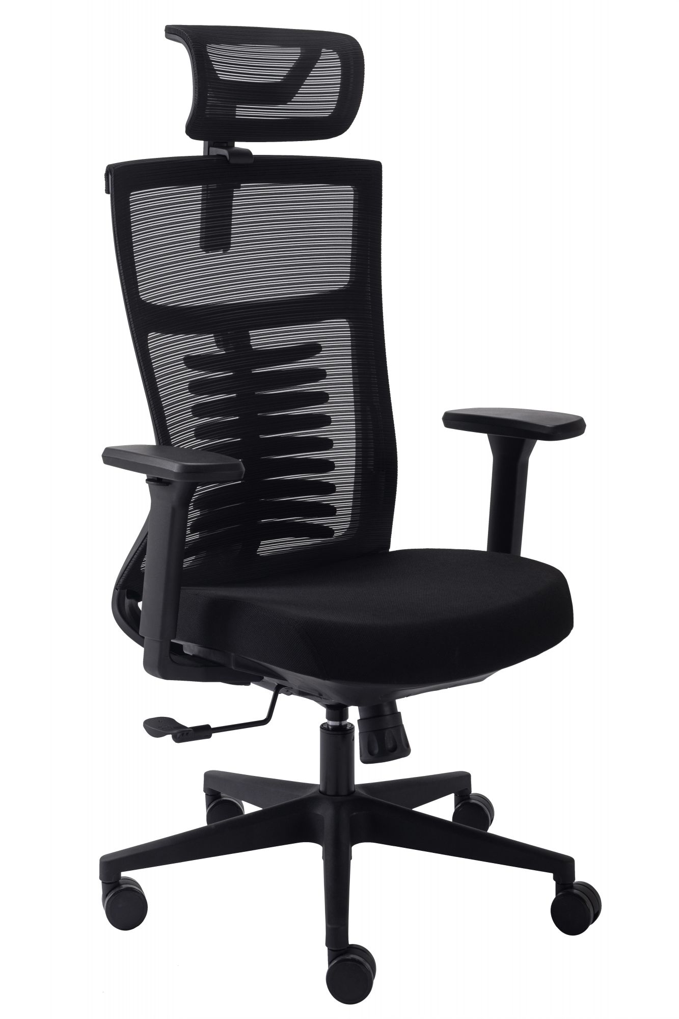 Fauteuil de bureau ergonomique avec appui-tête réglable en hauteur et en inclinaison -ORAXEAT RG400 Noir_0