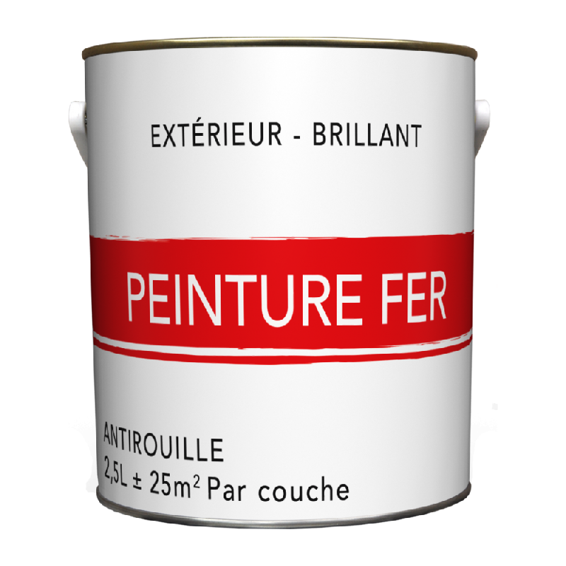 Peinture fer extérieur noir glossy 2.5 l_0