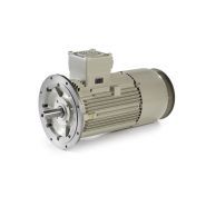Série PE - Moteurs ATEX antidéflagrants Ex-d Ex-de - Electro Adda - Puissance 0,09÷400 kW_0