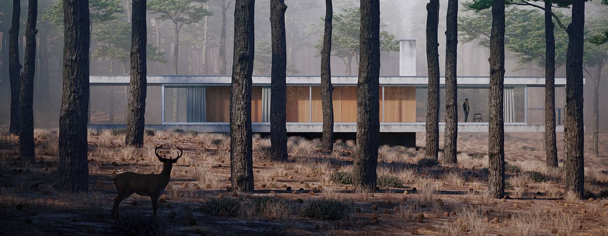 Grande maison ISK350 moderne en béton et acier - 300 m² avec 8 chambres ou 4 chambres et bureau_0
