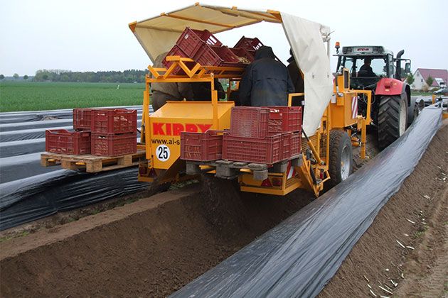 Arracheuse à tapis