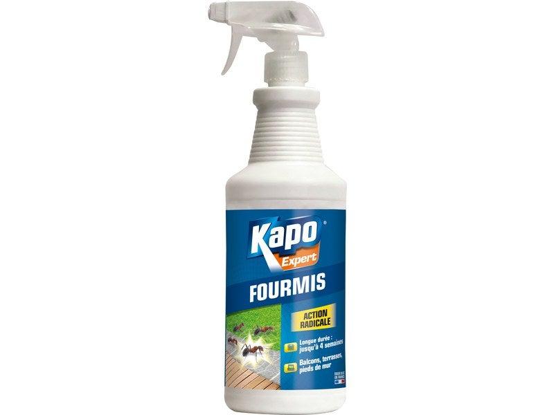 Insecticide antifourmis KAPO - 1 litre - Efficace pour intérieur et extérieur toute l'année_0