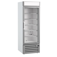 Armoire d'exposition réfrigération et congélation - Série NEC 500L - Modèle NEC 401 FS_0