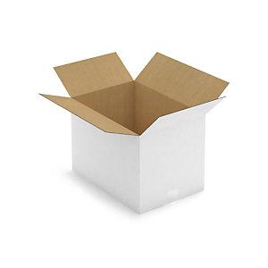 CAISSE CARTON BLANCHE SIMPLE CANNELURE RAJA 43X30X30 CM