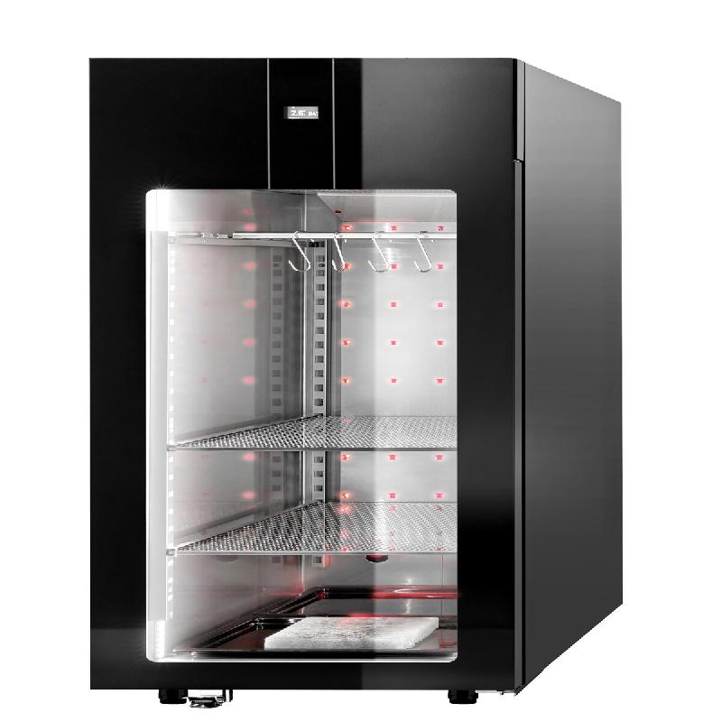 ITALCONCEPT L2G Armoire Refrigeree De Maturation De Viande 0/+4°C, 2035 x 740 x 834mm - 3616350137319_0