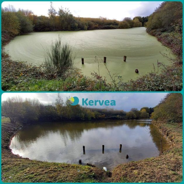 Prestation de pompage des lentilles d'eau de lagune et d'étang - aspilentilles_0