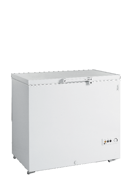 Congélateur de crème glacée TEFCOLD FR305 SL_0