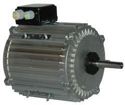 Moteur electrique tx0100l12_0