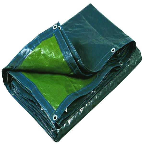 BACHE STANDARD BLEU/VERT TOUT USAGE 3X 5M