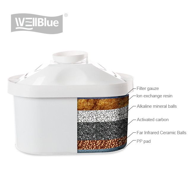 L-PF601B1 - Cartouches filtrantes d'eau WellBlue - Carbone actif et résine d'échange ionique - 6 à 8 semaines d'utilisation_0