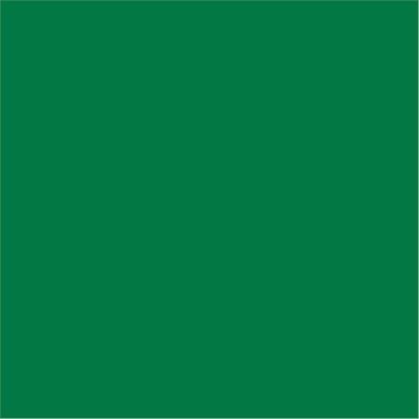 SERVIETTE DOUBLE POINT ECOLABEL 18 G/M² 39X39 CM TISSU VERT JAGUAR (VENDU PAR 1200)