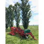 Arracheuse de pommes de terre green 650/5l - carlotti g. E c. Snc - productivité 0.25 à 1 ha/j_0