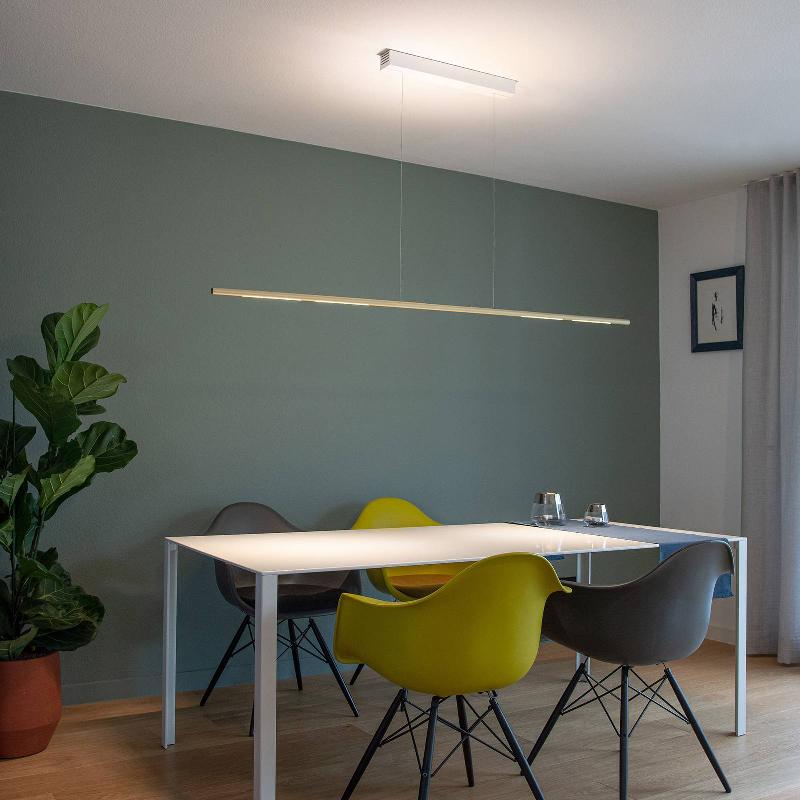 SATTLER PALITO LINEA, CCT, GESTES, 175CM OR
