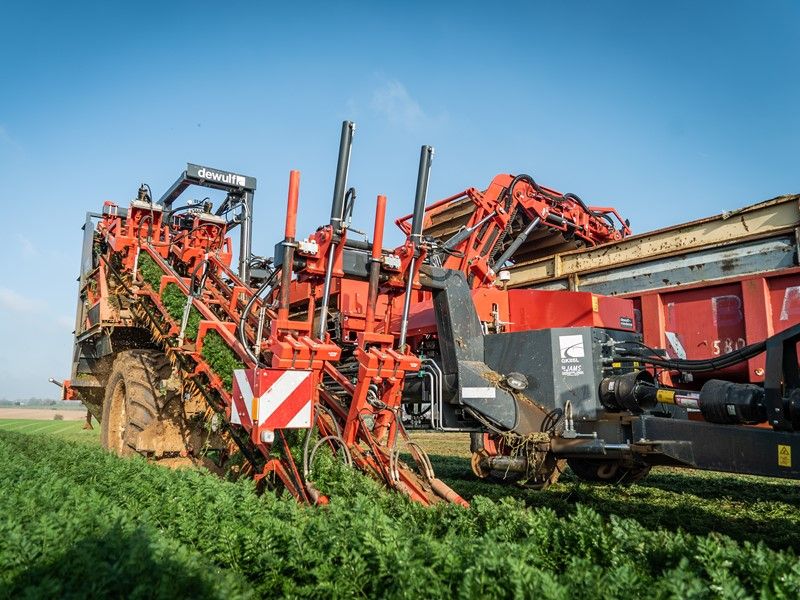 Arracheuse par préhension GKIISL - Dewulf BV - largeur totale 3288 mm, traînée à deux rangs avec tapis d'évacuation_0
