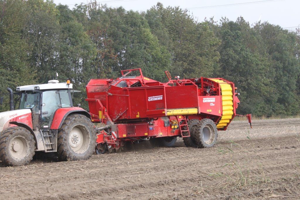 Arracheuse sv 260 2 rangs - grimme france - capacité du trémie 6000 kg_0