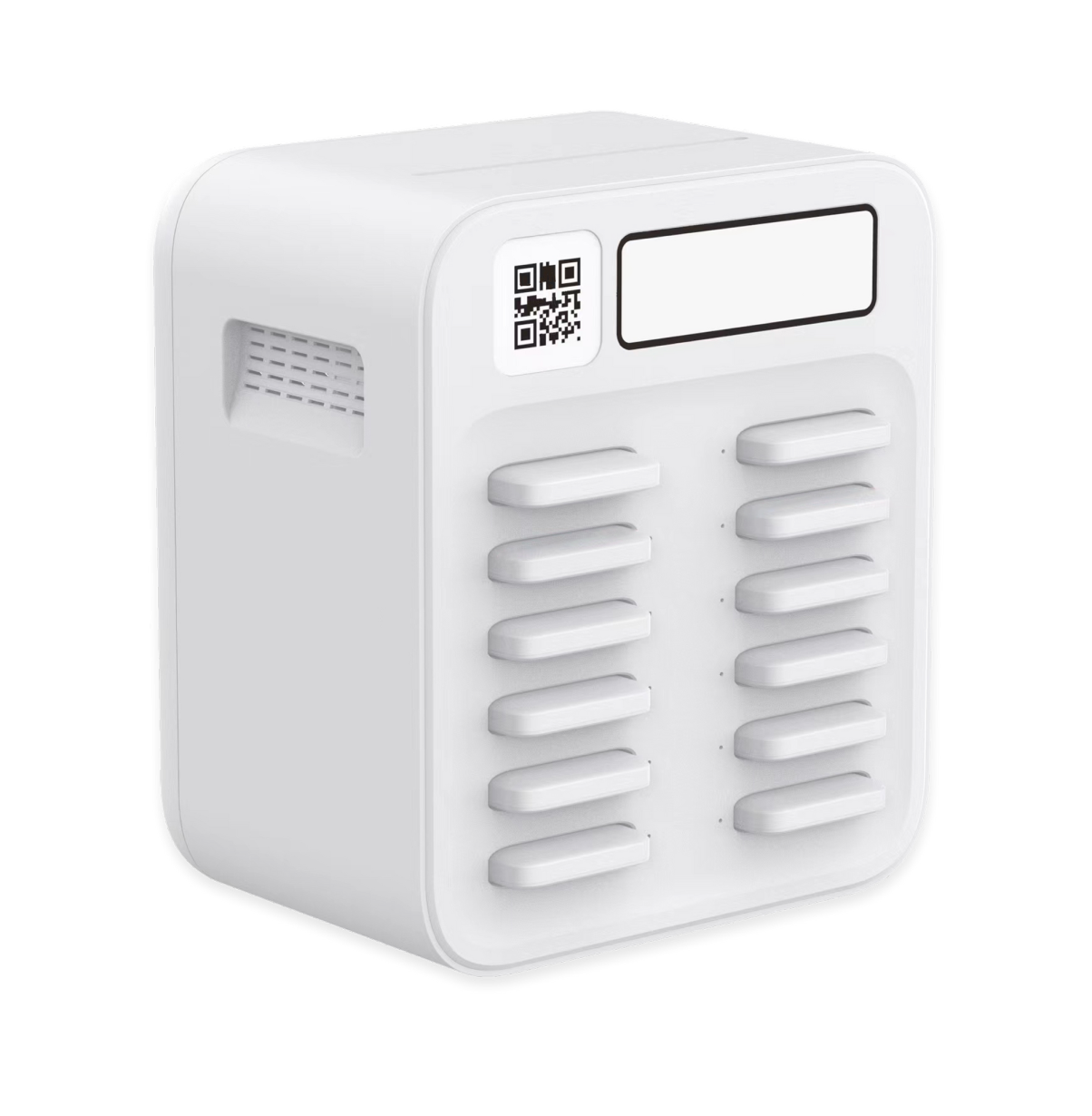 Borne de 12 batteries portables en libre service pour les établissements à petit flux - 0,15 kWh/j_0