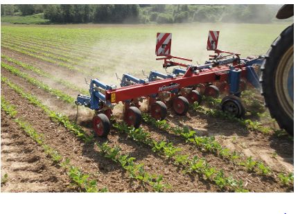 Bineuse spéciale betterave - Thomas Hatzenbichler Agro-Technik - barre profilée avec montage 3 points et disques stabilisateurs montés sur roulements à billes_0