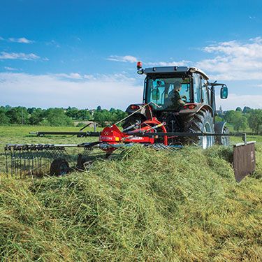 MF RK 381 DN - Andaineur monorotor Massey Ferguson - 3,8 m, attelage 3 points, tête pivotante_0