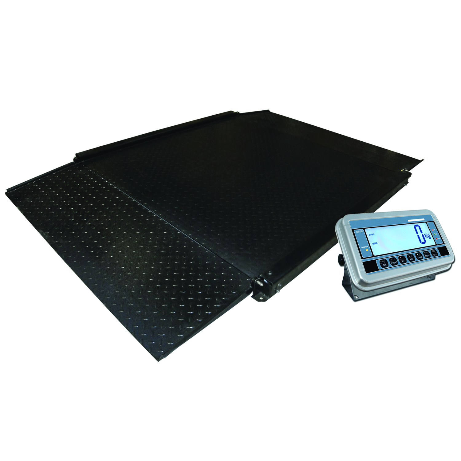Plateforme surbaissée en acier peint - balance industrielle avec indicateur inox et rampes d'accès_0