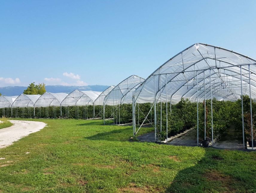 Serre à travées multiples à structure gothique conçue pour les régions soumises à de fortes chutes de neige - Multieasy_0