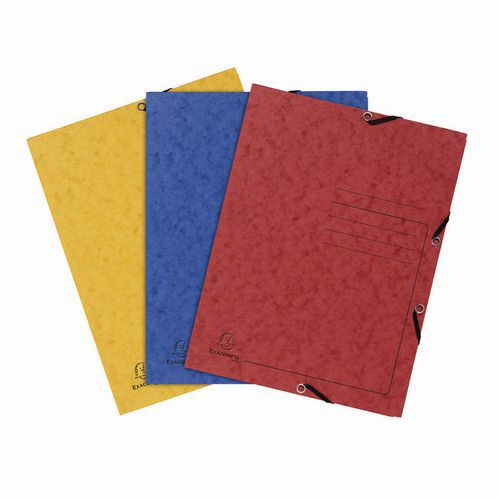 LOT 24 CHEMISES À ÉLASTIQUE 3 RABATS CARTE LUSTR. ASSORTIES - EXACOMPTA